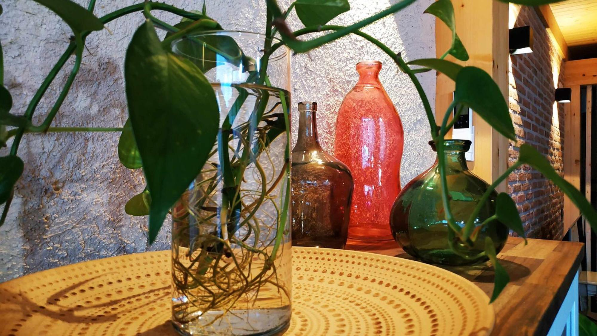 La Mona Casa Rural Rueda Εξωτερικό φωτογραφία